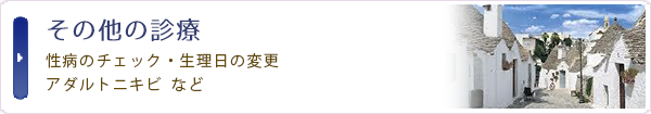 その他の診療：性病のチェック・生理日の変更・アダルトニキビ  など